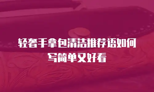 轻奢手拿包清洁推荐语如何写简单又好看