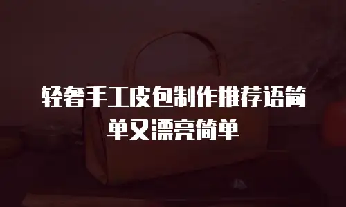 轻奢手工皮包制作推荐语简单又漂亮简单