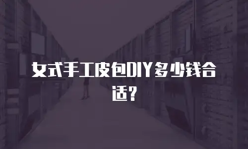 女式手工皮包DIY多少钱合适？