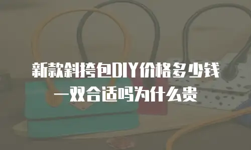 新款斜挎包DIY价格多少钱一双合适吗为什么贵