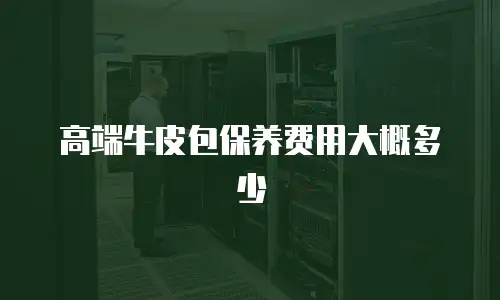 高端牛皮包保养费用大概多少