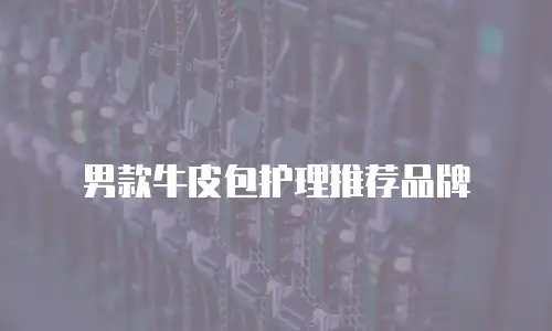 男款牛皮包护理推荐品牌
