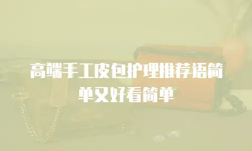 高端手工皮包护理推荐语简单又好看简单