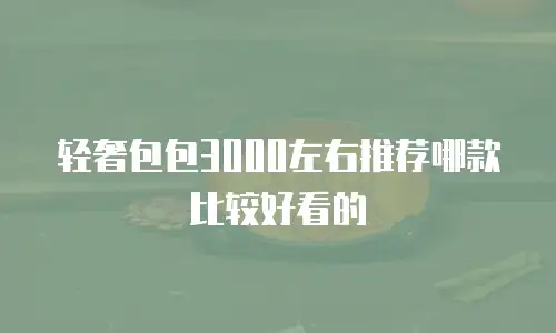 轻奢包包3000左右推荐哪款比较好看的