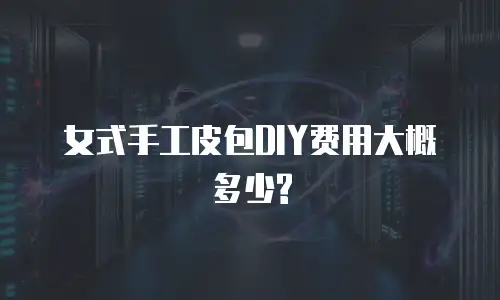 女式手工皮包DIY费用大概多少?