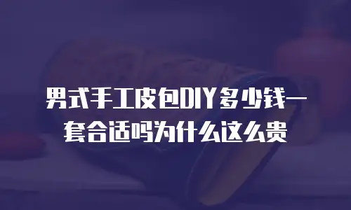 男式手工皮包DIY多少钱一套合适吗为什么这么贵