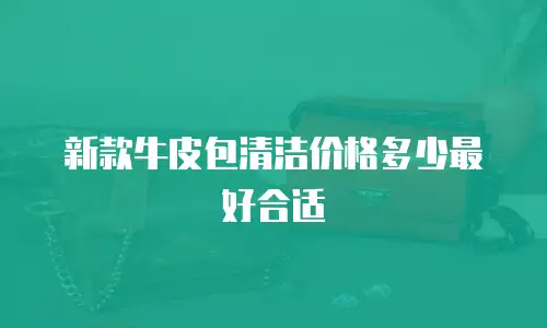 新款牛皮包清洁价格多少最好合适