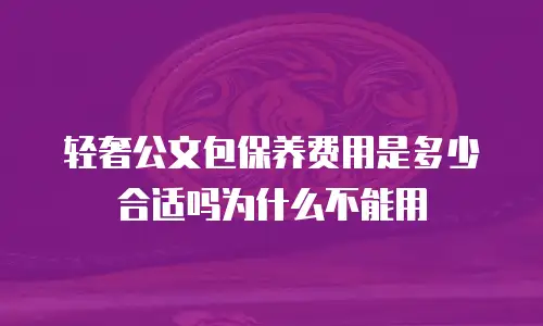 轻奢公文包保养费用是多少合适吗为什么不能用