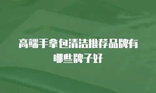 高端手拿包清洁推荐品牌有哪些牌子好