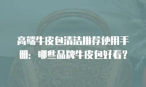 高端牛皮包清洁推荐使用手册：哪些品牌牛皮包好看？