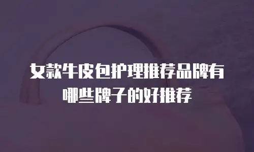 女款牛皮包护理推荐品牌有哪些牌子的好推荐