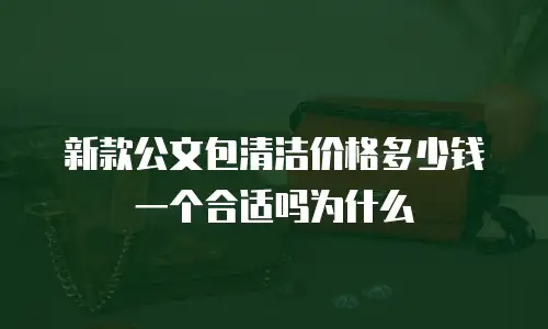 新款公文包清洁价格多少钱一个合适吗为什么