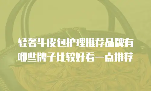 轻奢牛皮包护理推荐品牌有哪些牌子比较好看一点推荐