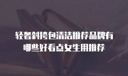 轻奢斜挎包清洁推荐品牌有哪些好看点女生用推荐