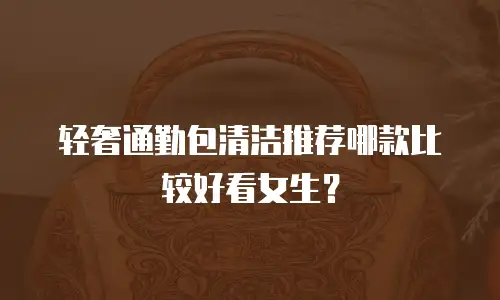 轻奢通勤包清洁推荐哪款比较好看女生？