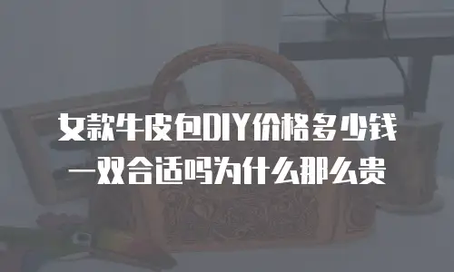 女款牛皮包DIY价格多少钱一双合适吗为什么那么贵