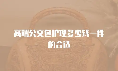 高端公文包护理多少钱一件的合适