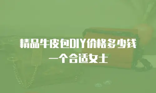 精品牛皮包DIY价格多少钱一个合适女士