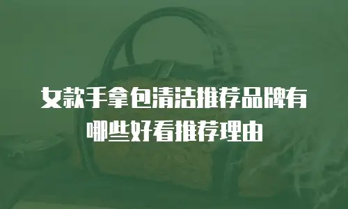 女款手拿包清洁推荐品牌有哪些好看推荐理由