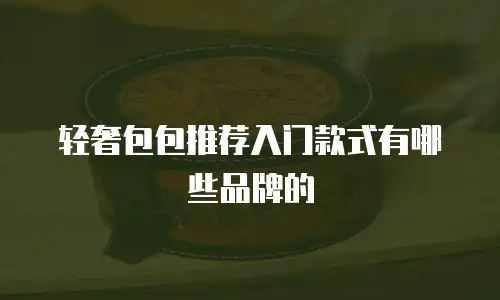 轻奢包包推荐入门款式有哪些品牌的