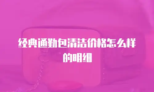 经典通勤包清洁价格怎么样的明细