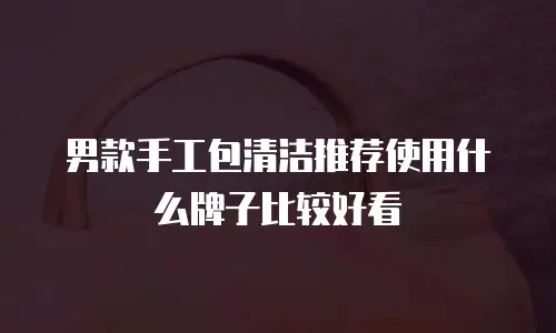 男款手工包清洁推荐使用什么牌子比较好看