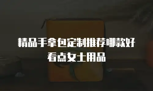 精品手拿包定制推荐哪款好看点女士用品