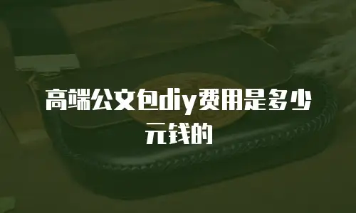 高端公文包diy费用是多少元钱的