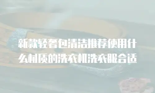 新款轻奢包清洁推荐使用什么材质的洗衣机洗衣服合适
