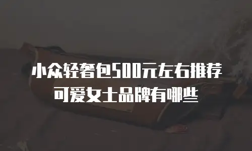 小众轻奢包500元左右推荐可爱女士品牌有哪些
