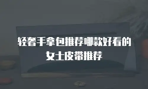 轻奢手拿包推荐哪款好看的女士皮带推荐