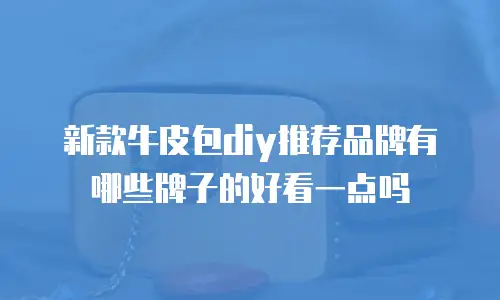 新款牛皮包diy推荐品牌有哪些牌子的好看一点吗