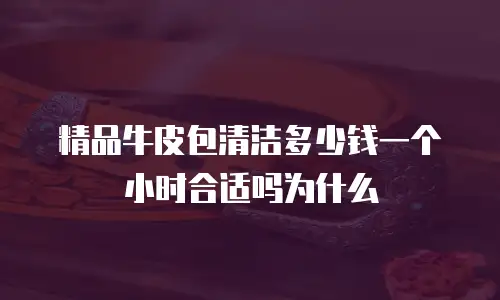 精品牛皮包清洁多少钱一个小时合适吗为什么