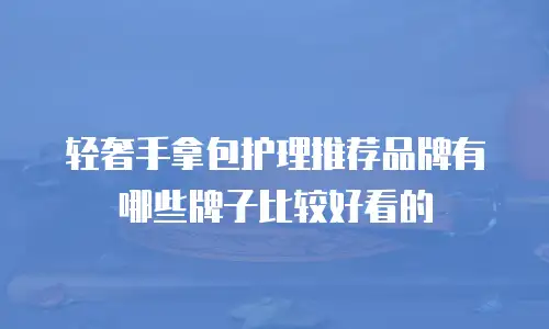轻奢手拿包护理推荐品牌有哪些牌子比较好看的