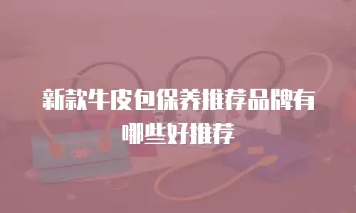 新款牛皮包保养推荐品牌有哪些好推荐