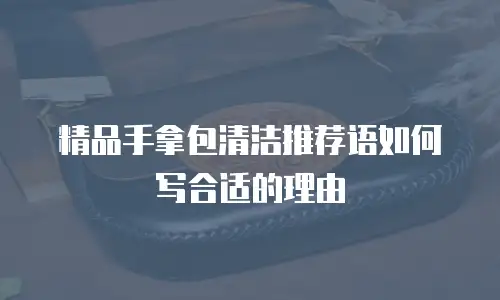 精品手拿包清洁推荐语如何写合适的理由