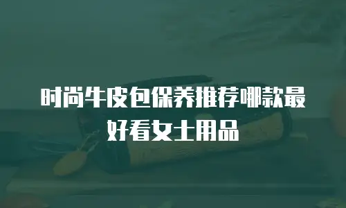 时尚牛皮包保养推荐哪款最好看女士用品
