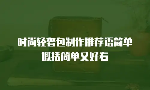 时尚轻奢包制作推荐语简单概括简单又好看