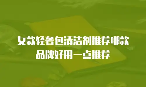 女款轻奢包清洁剂推荐哪款品牌好用一点推荐