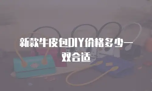 新款牛皮包DIY价格多少一双合适