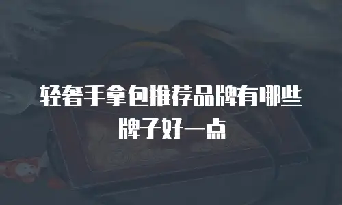轻奢手拿包推荐品牌有哪些牌子好一点