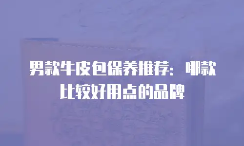 男款牛皮包保养推荐：哪款比较好用点的品牌