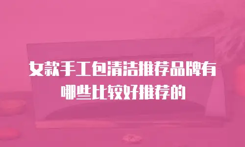 女款手工包清洁推荐品牌有哪些比较好推荐的