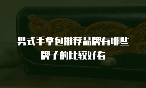 男式手拿包推荐品牌有哪些牌子的比较好看