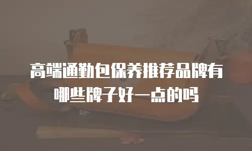 高端通勤包保养推荐品牌有哪些牌子好一点的吗