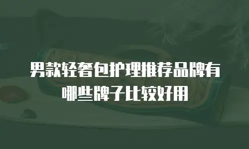 男款轻奢包护理推荐品牌有哪些牌子比较好用