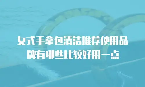 女式手拿包清洁推荐使用品牌有哪些比较好用一点
