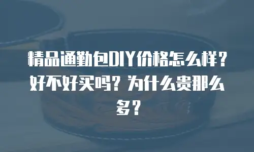 精品通勤包DIY价格怎么样？好不好买吗？为什么贵那么多？