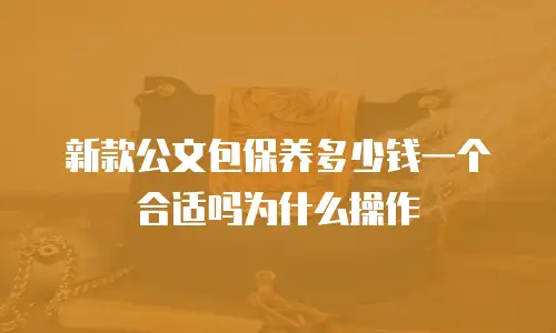 新款公文包保养多少钱一个合适吗为什么操作