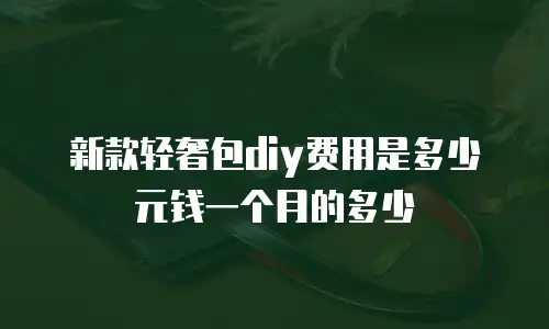 新款轻奢包diy费用是多少元钱一个月的多少